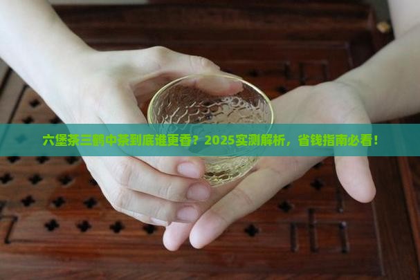 六堡茶三鹤中茶哪个好