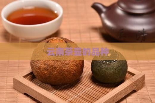 云南茶壶的品种