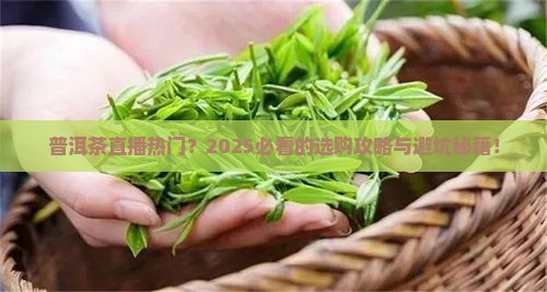 普洱茶直播热门