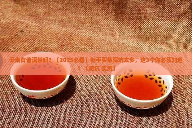 云南省有普洱茶吗