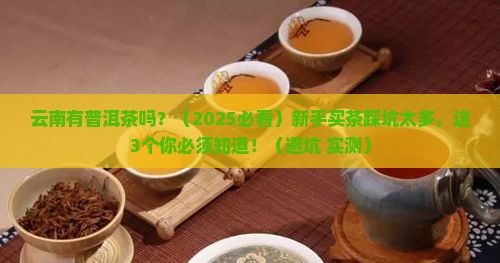 云南省有普洱茶吗