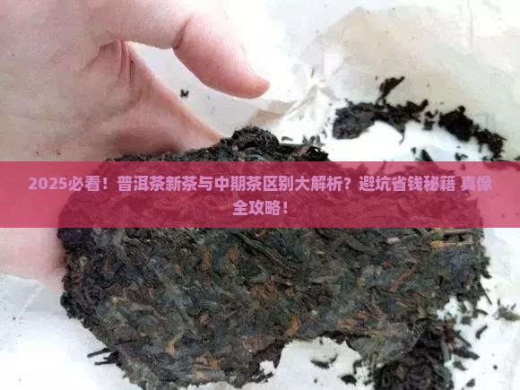 普洱茶新茶中期茶区别大吗