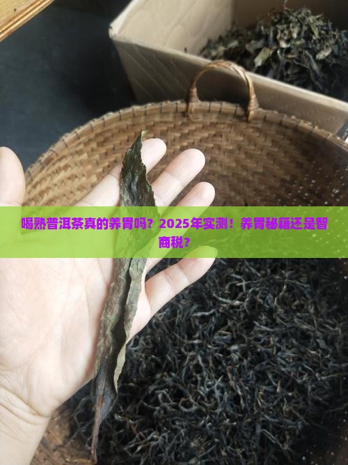 喝熟普洱茶养胃不养胃