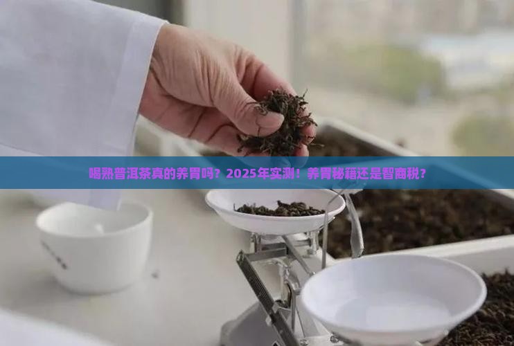 喝熟普洱茶养胃不养胃