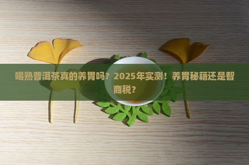 喝熟普洱茶养胃不养胃