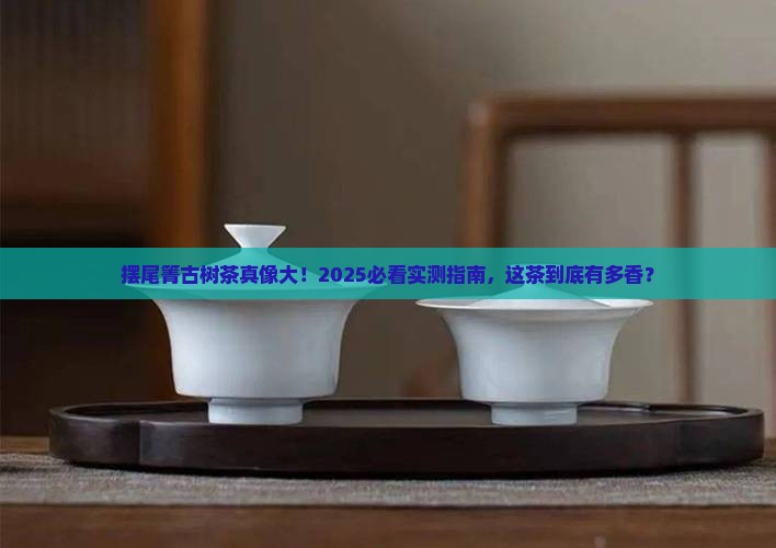 摆尾箐古树茶特点