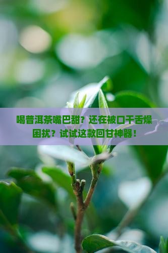 喝普洱茶嘴巴甜