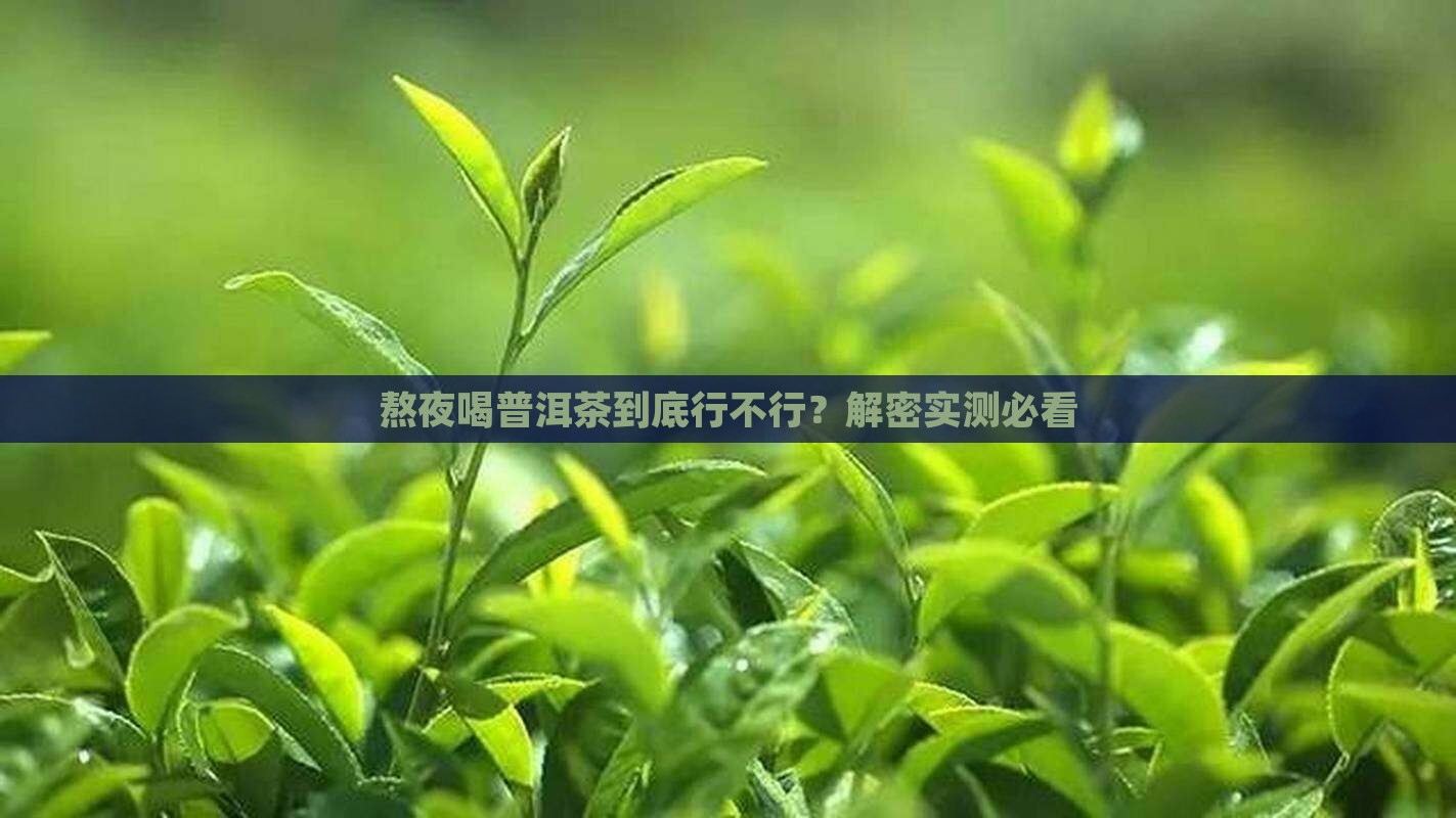 普洱茶可以熬夜喝吗