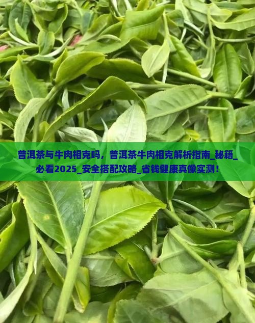 普洱茶与牛肉相克吗
