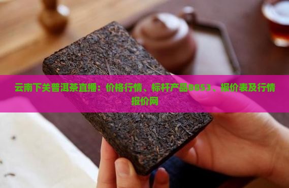 云南下关普洱茶直播 云南下关普洱茶直播