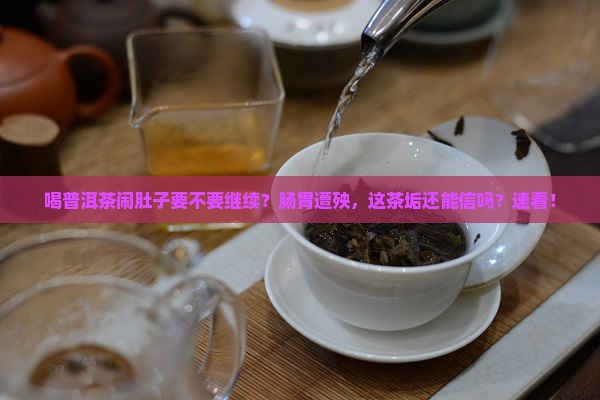 喝普洱茶闹肚子要不要继续