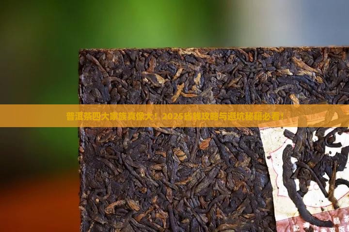 普洱茶四大家族