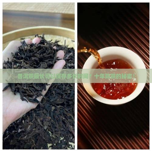 普洱茶最长可以保存多长时间