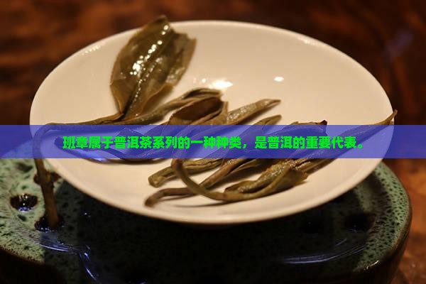 班章茶属于普洱茶系列