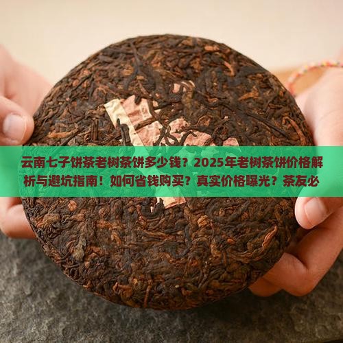 云南七子饼茶老树茶饼多少钱