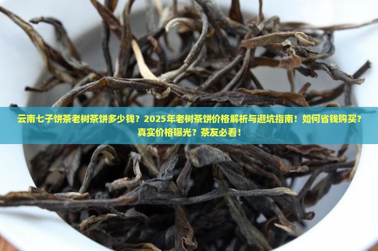云南七子饼茶老树茶饼多少钱