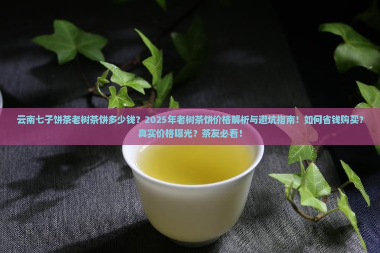 云南七子饼茶老树茶饼多少钱