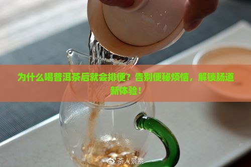 喝普洱茶后就会排便