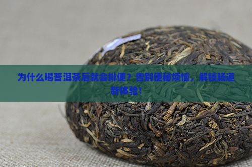 喝普洱茶后就会排便