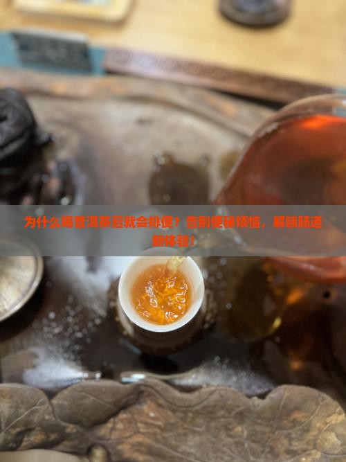 喝普洱茶后就会排便