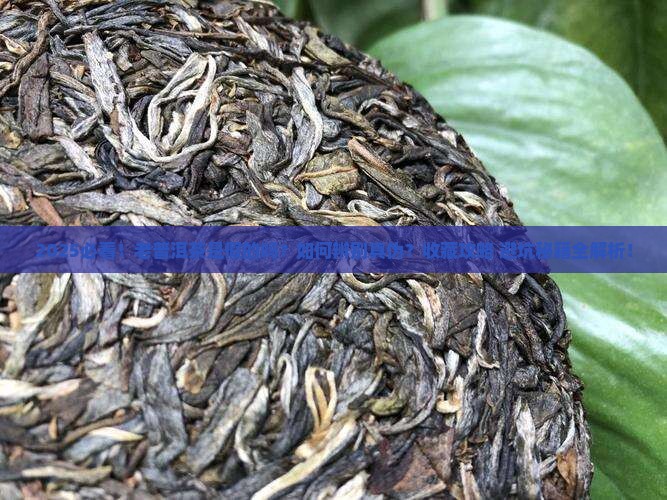 很老的普洱茶是假的吗