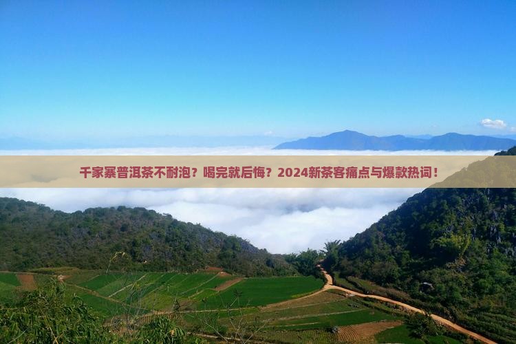 千家寨普洱茶不耐泡