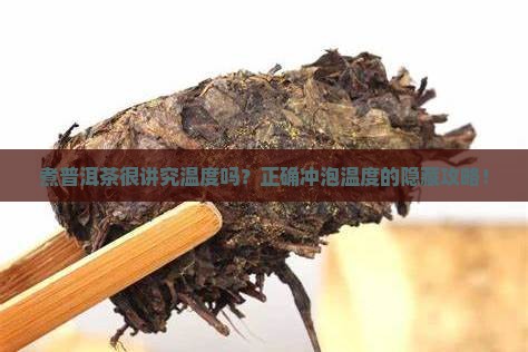 煮普洱茶很讲究温度吗为什么