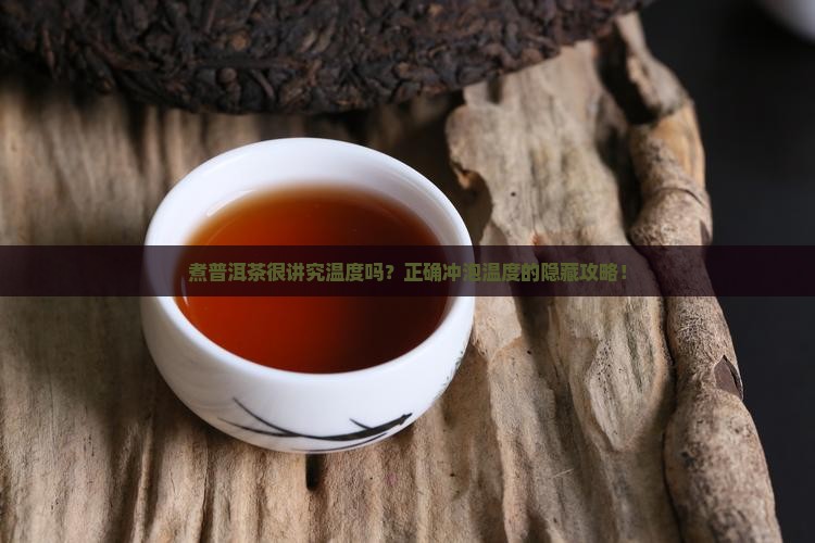 煮普洱茶很讲究温度吗为什么