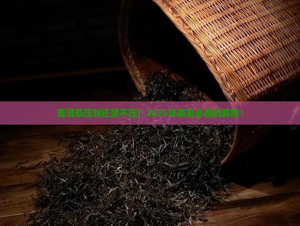 普洱茶是压饼好还是不压好