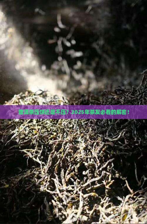 普洱茶是压饼好还是不压好