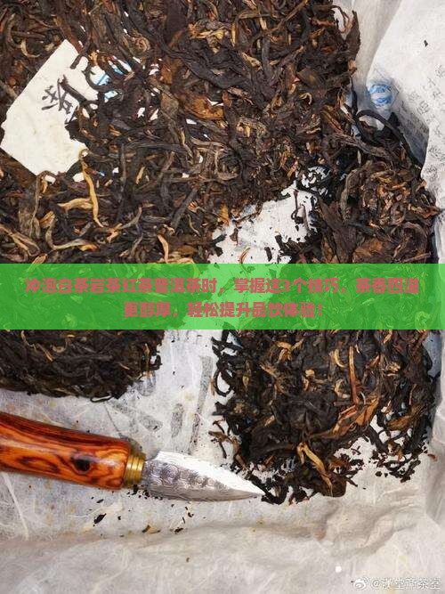 冲泡白茶岩茶红茶普洱茶时