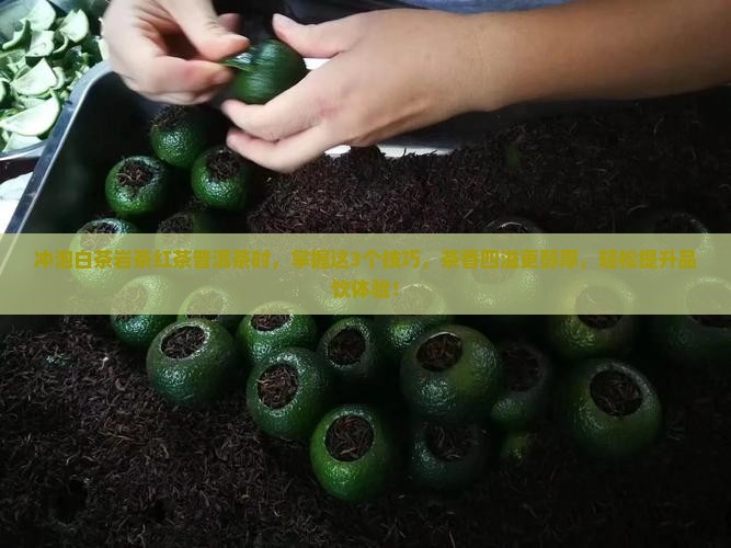 冲泡白茶岩茶红茶普洱茶时