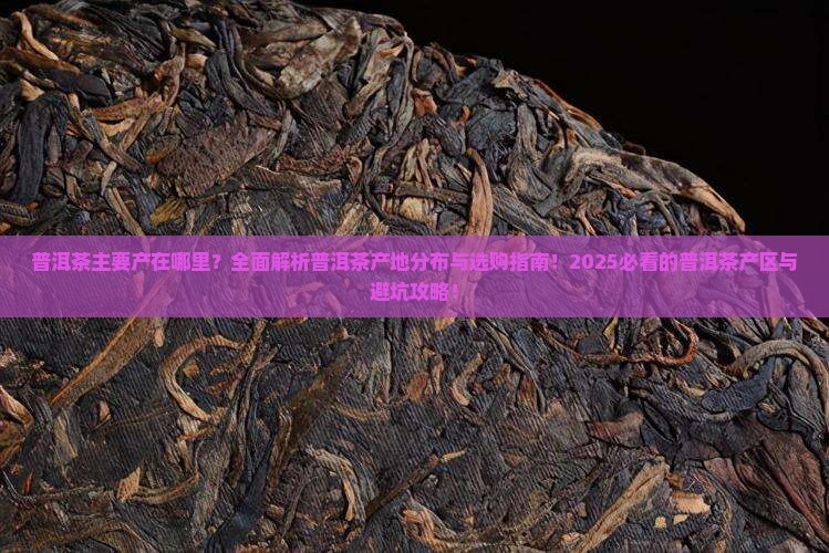 普洱茶主要产在哪里