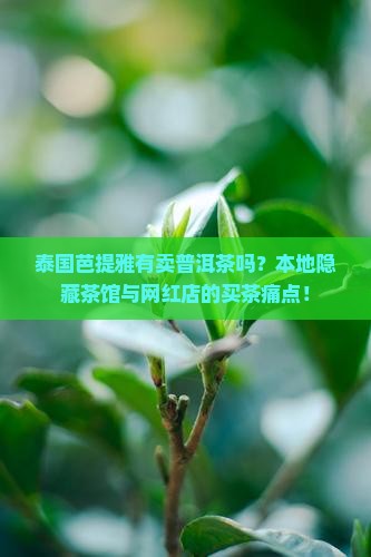 泰国芭提雅有卖普洱茶的吗