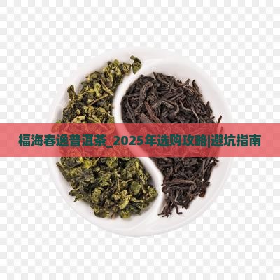 福海春逸普洱茶怎么样
