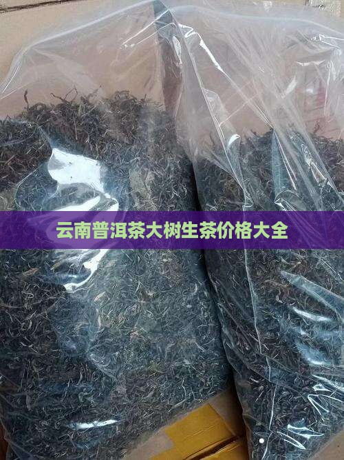 云南普洱茶大树生茶