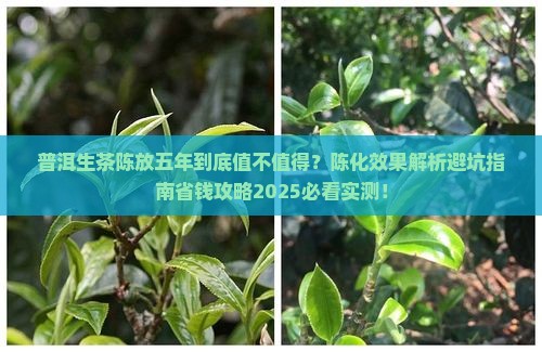 普洱生茶陈放五年怎样