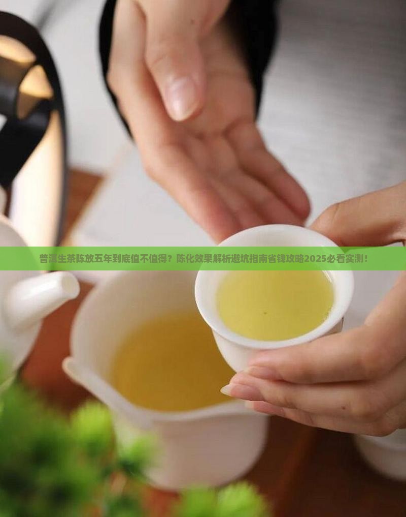 普洱生茶陈放五年怎样