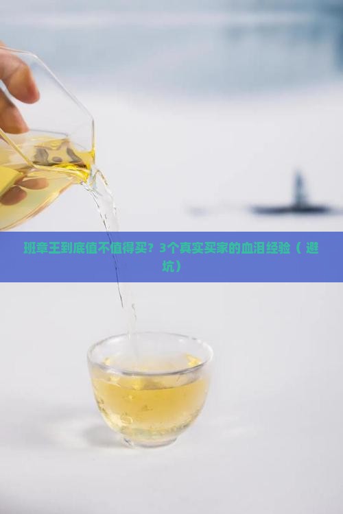 珍好境界普洱茶班章王