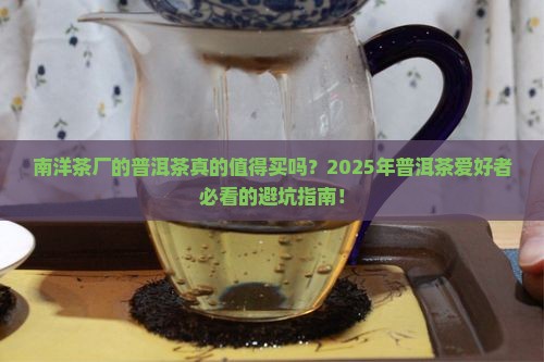 南洋茶厂的普洱茶好吗值得买吗