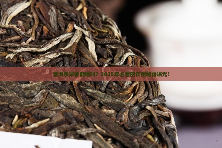 普洱茶适合早春喝吗
