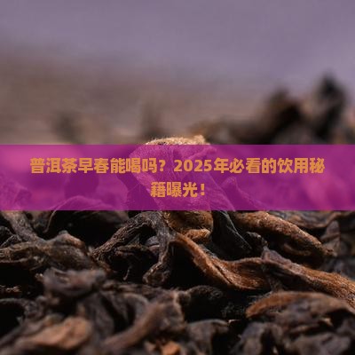 普洱茶适合早春喝吗