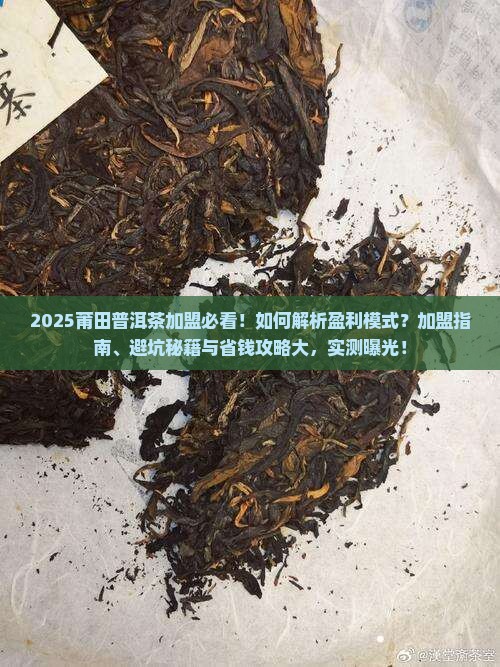 莆田普洱茶加盟