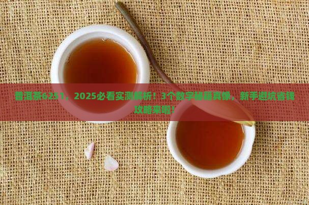 普洱茶6251 普洱茶6251