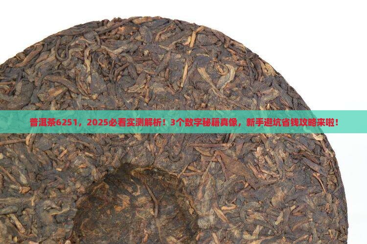 普洱茶6251 普洱茶6251