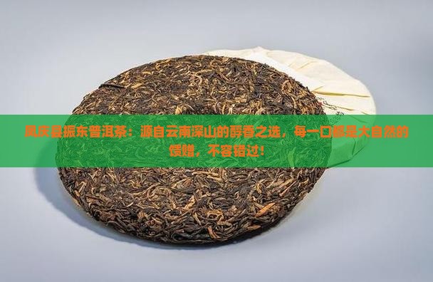 凤庆县振东普洱茶