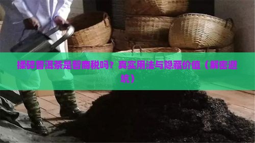揉碎普洱茶的意思是
