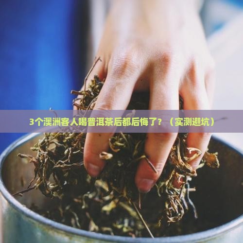 澳洲客人喝普洱茶