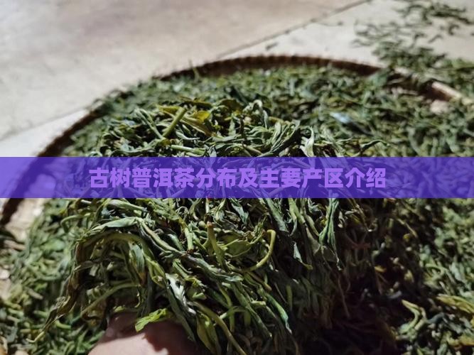 古树普洱茶分布