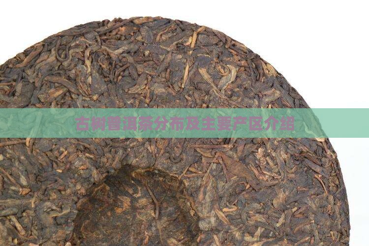 古树普洱茶分布